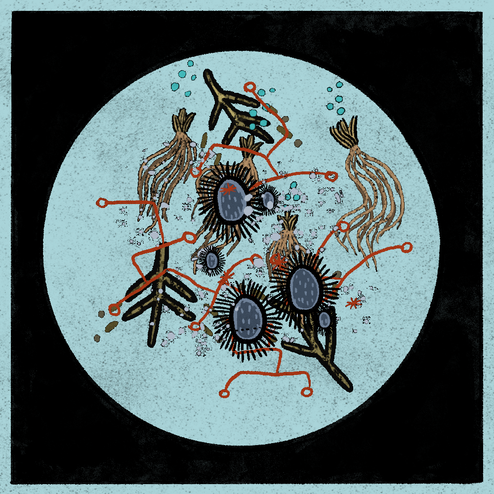 Microbes #193