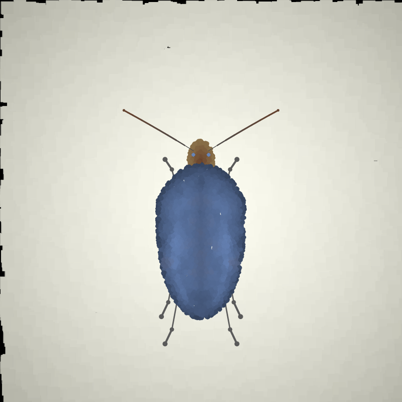 Beetle Sketches #27