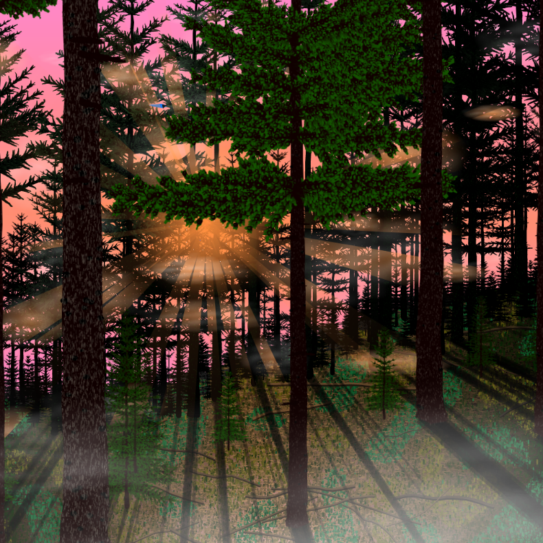 Forest Sunrise #47