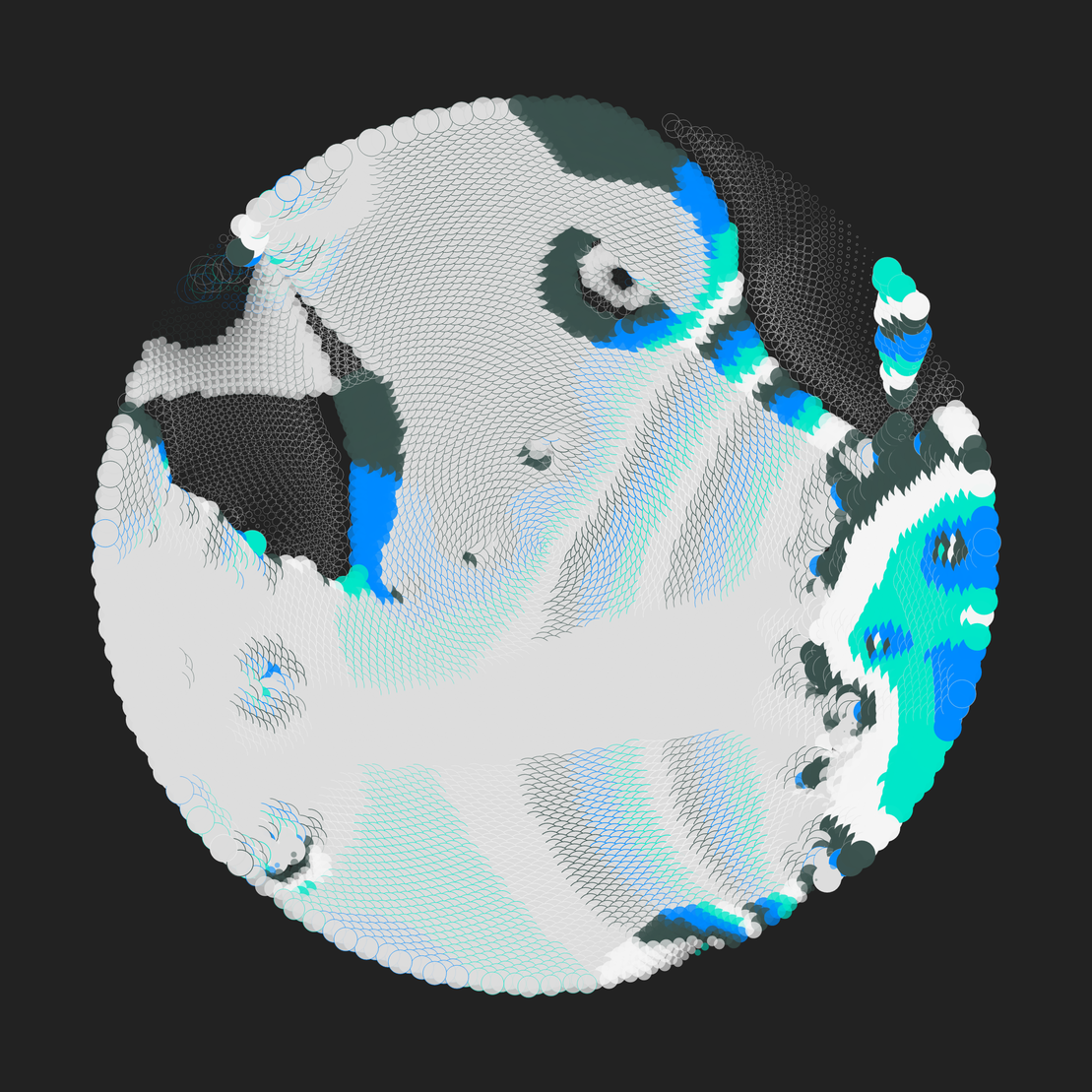 Still C #2456