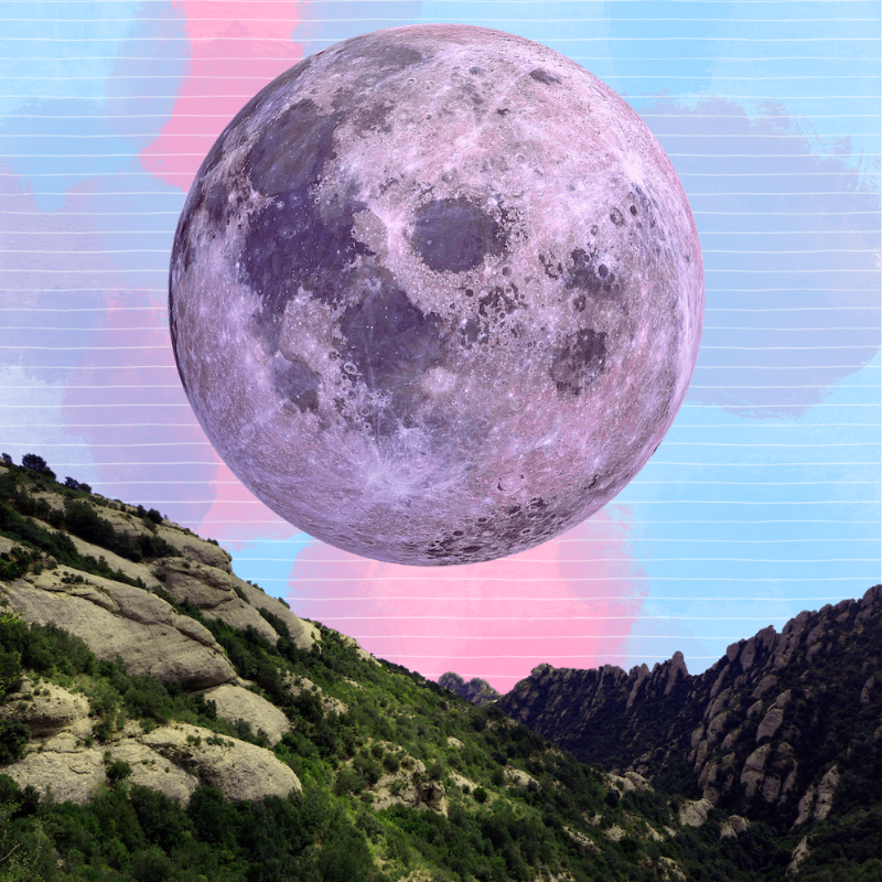 Pink Moon #1