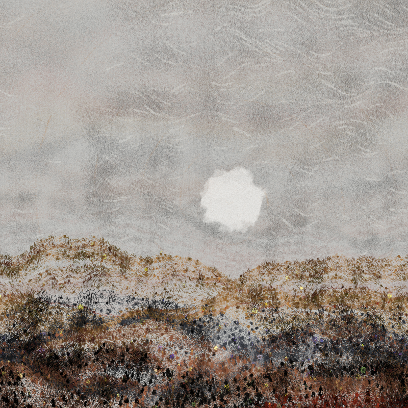 Cold Mountain #41
