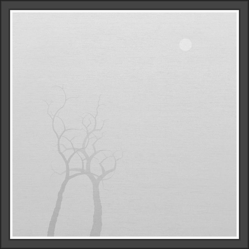 The Foggy Trees #40