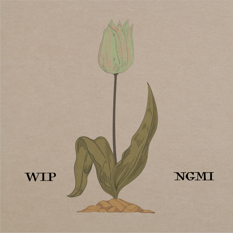 Tulip Fever #24