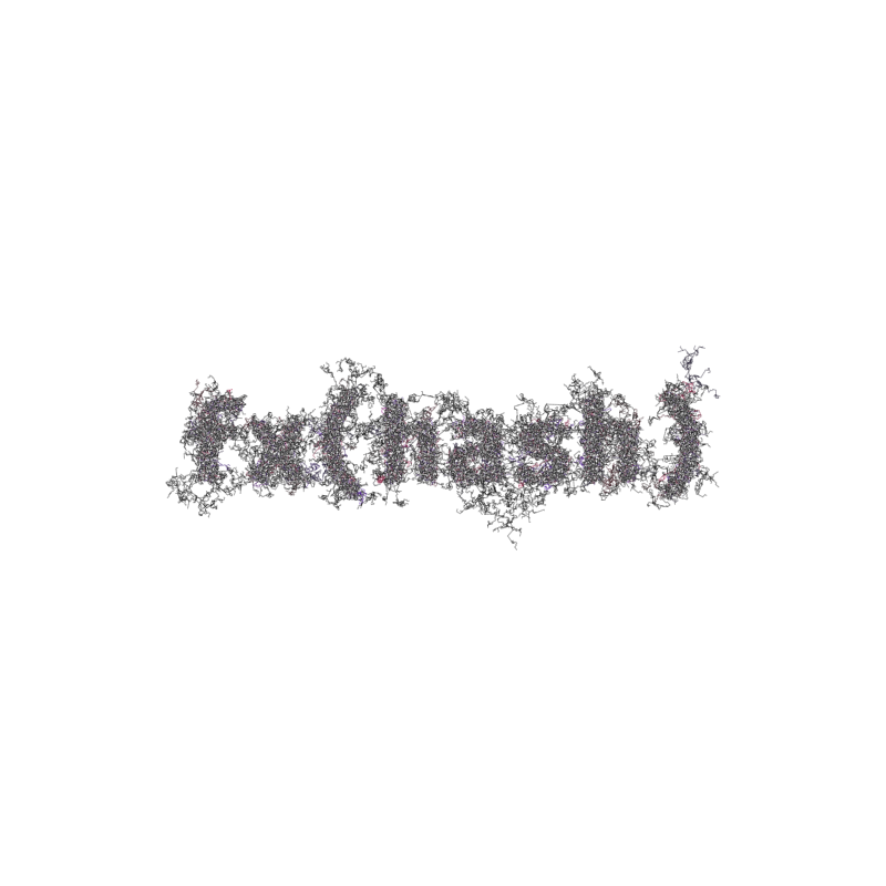 FXHASH Logo with Features #863