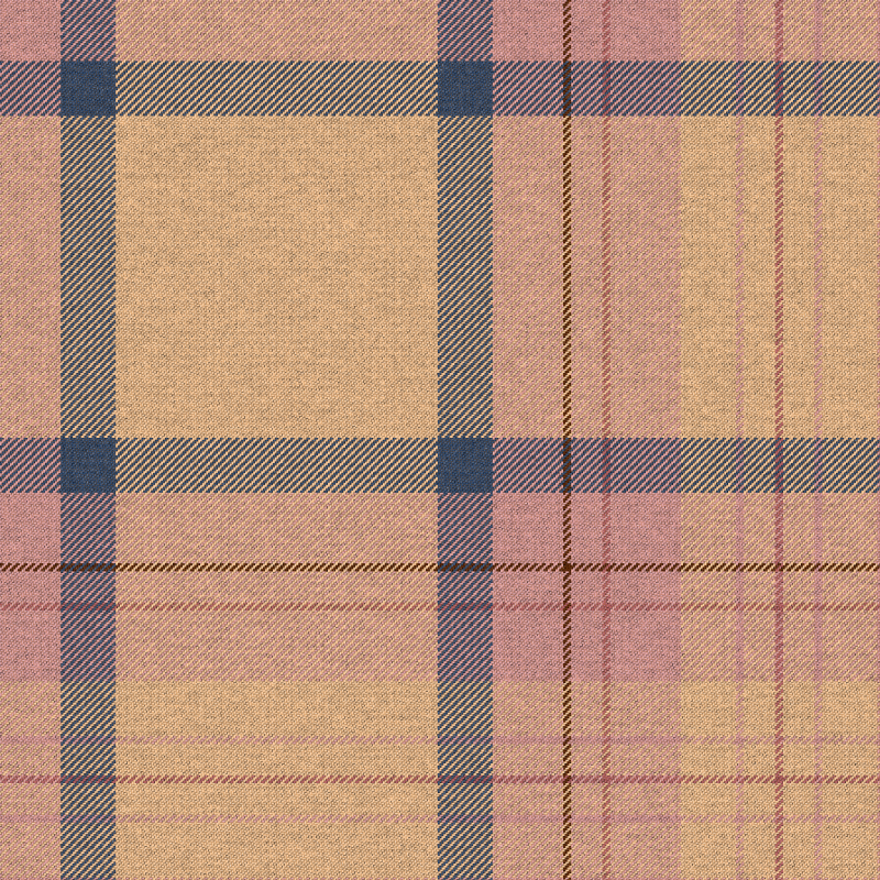 Tartan Cloth #9