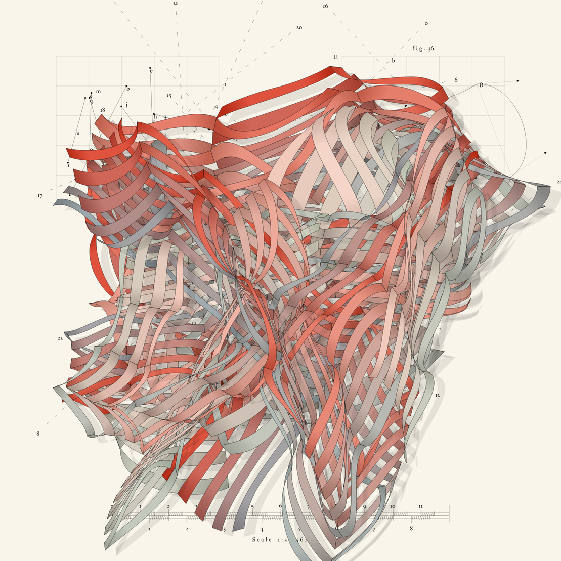 The Anatomy of Fracture #115