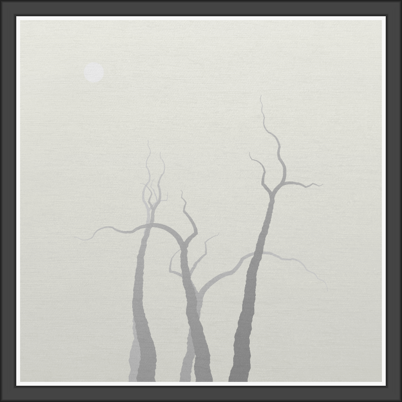 The Foggy Trees #75