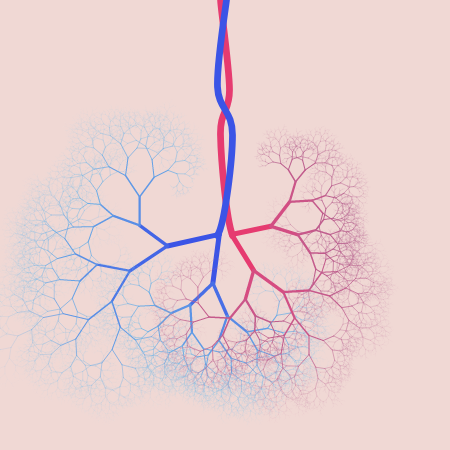 capillary trees #22