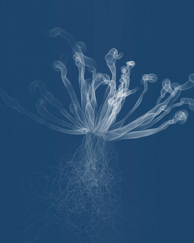 Cyanotypes #179
