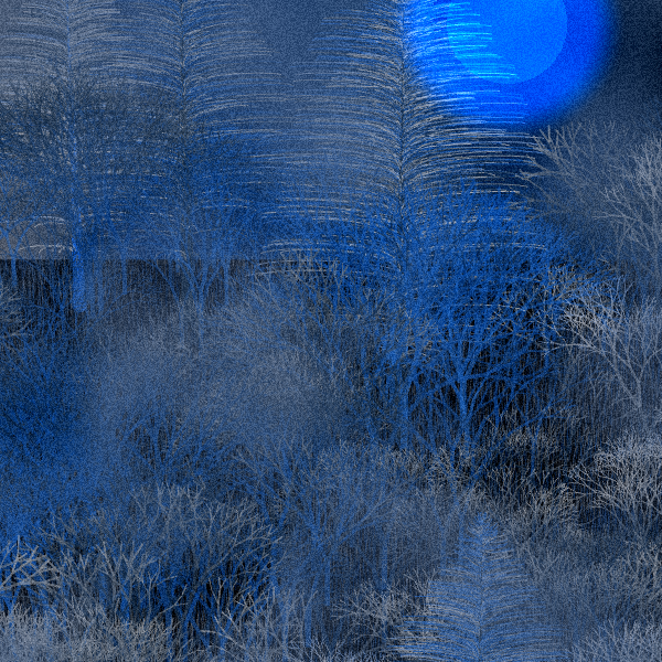 Moonlit Native Bush #82