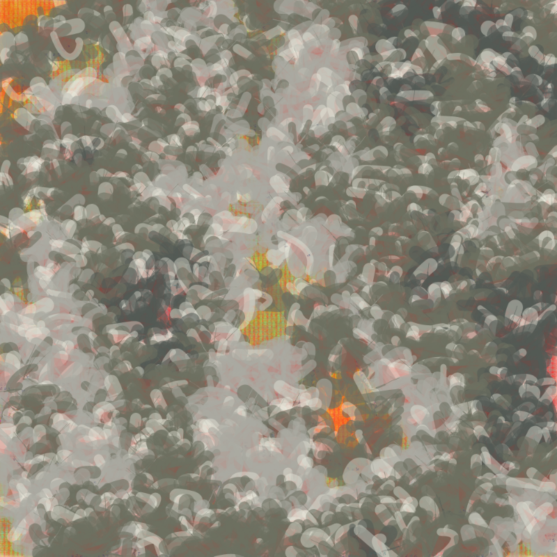Petri 1500 #136