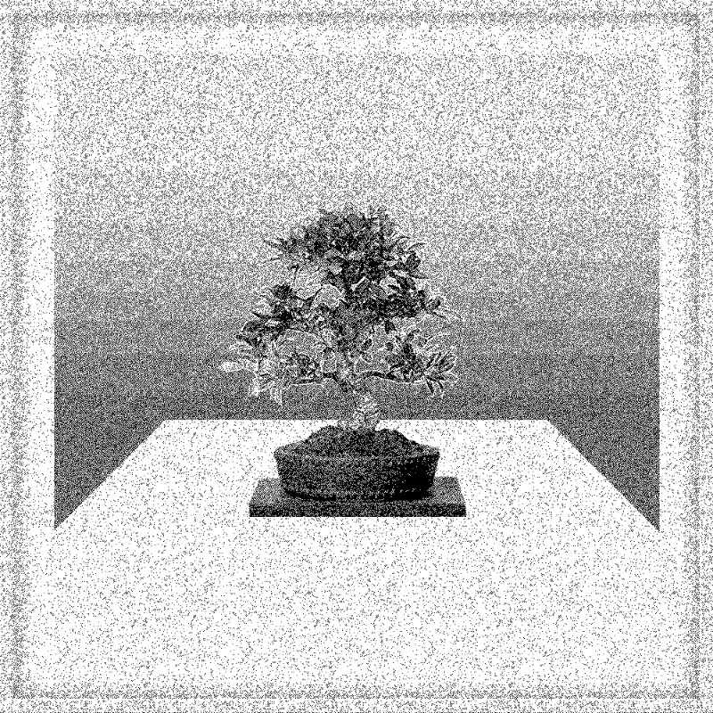 Bonsai Bonanza #525