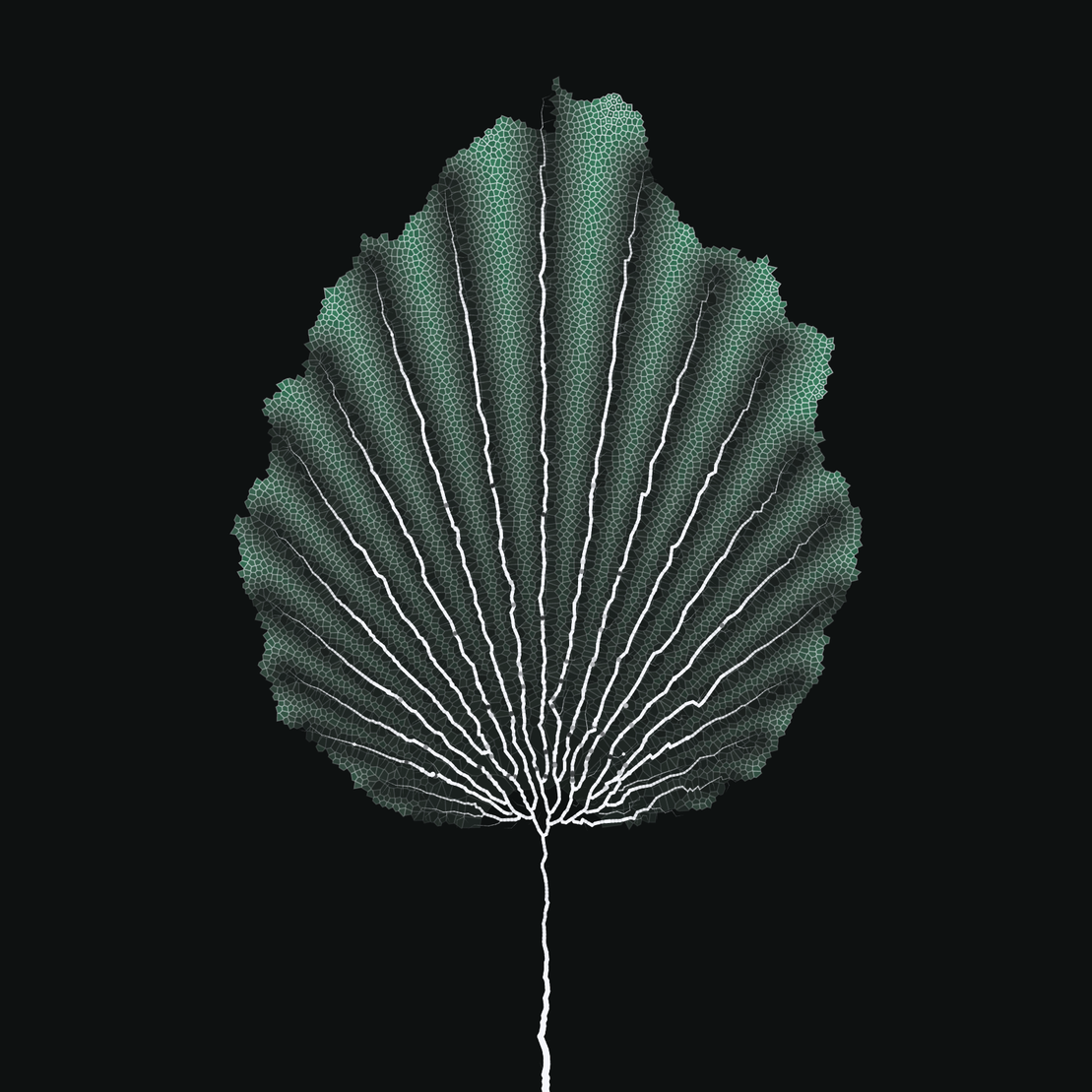 Leaf study #59