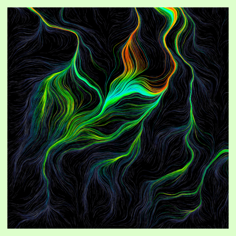 Roots #16