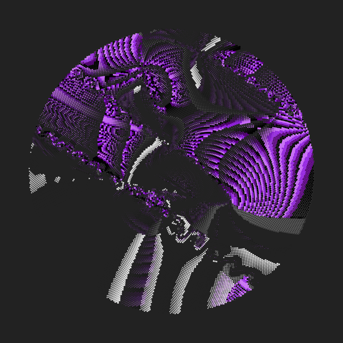 Still C #25933