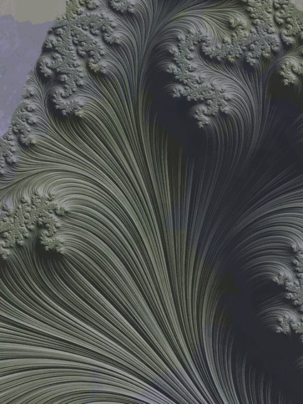 Fractal #227