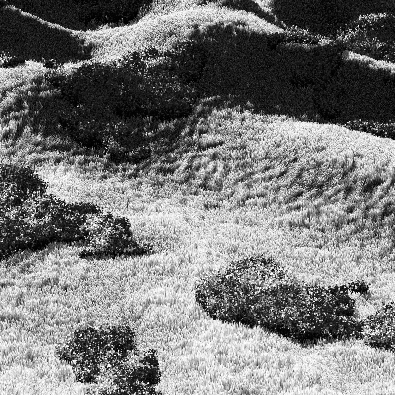 California Hills in Late Sun