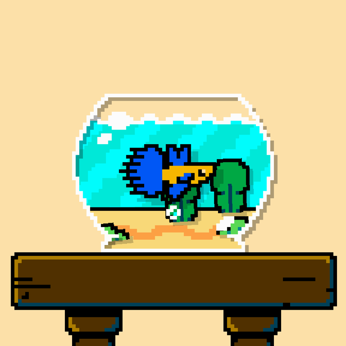 betta fish #135