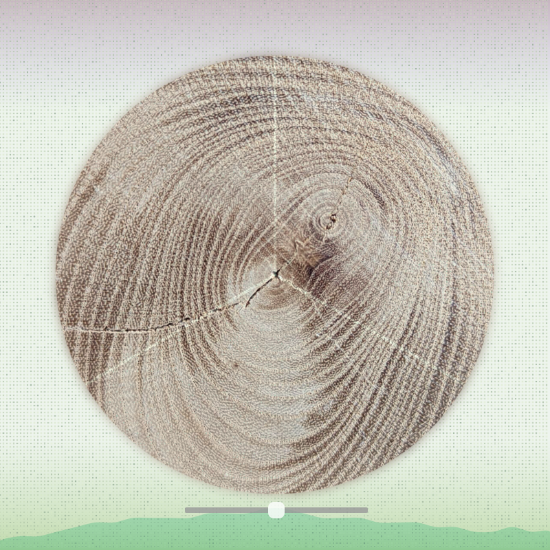 Tree ring waltz #3