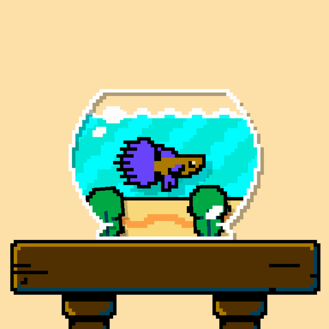 betta fish #222