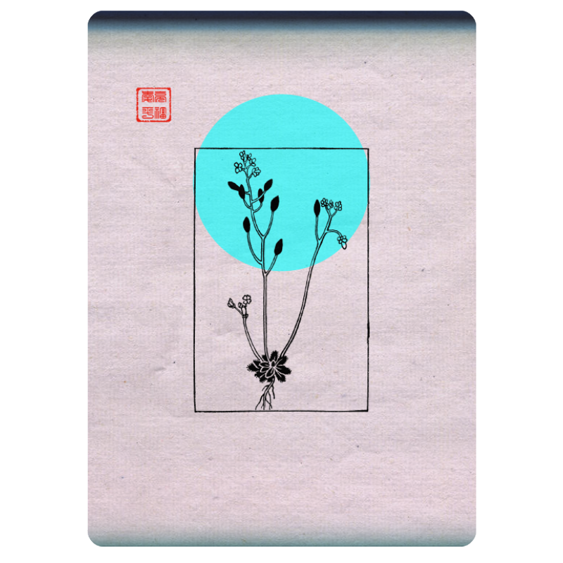 Zen flower card  #45