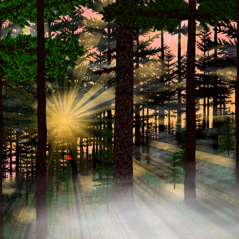 Forest Sunrise #21