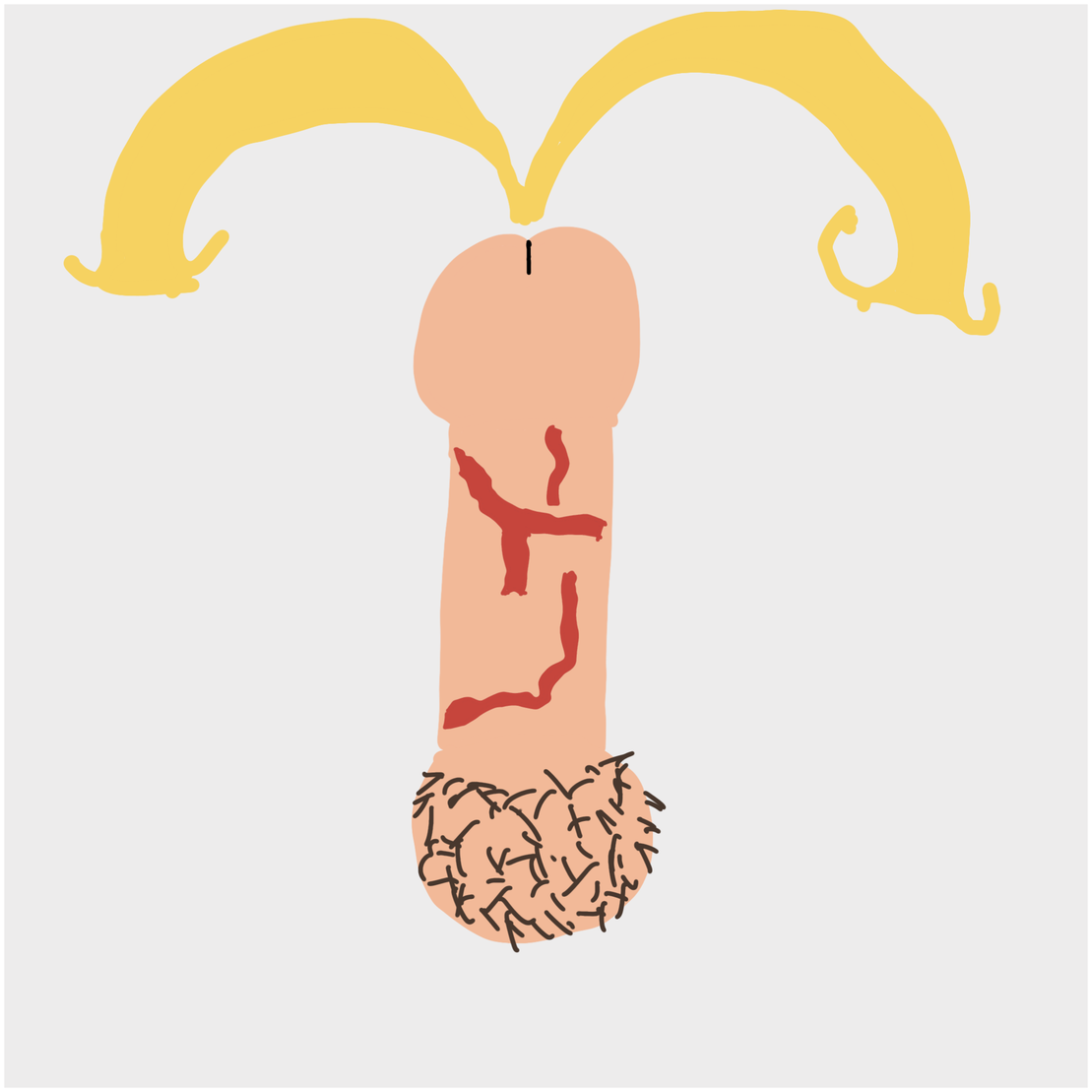 Dickgenerative Art #50