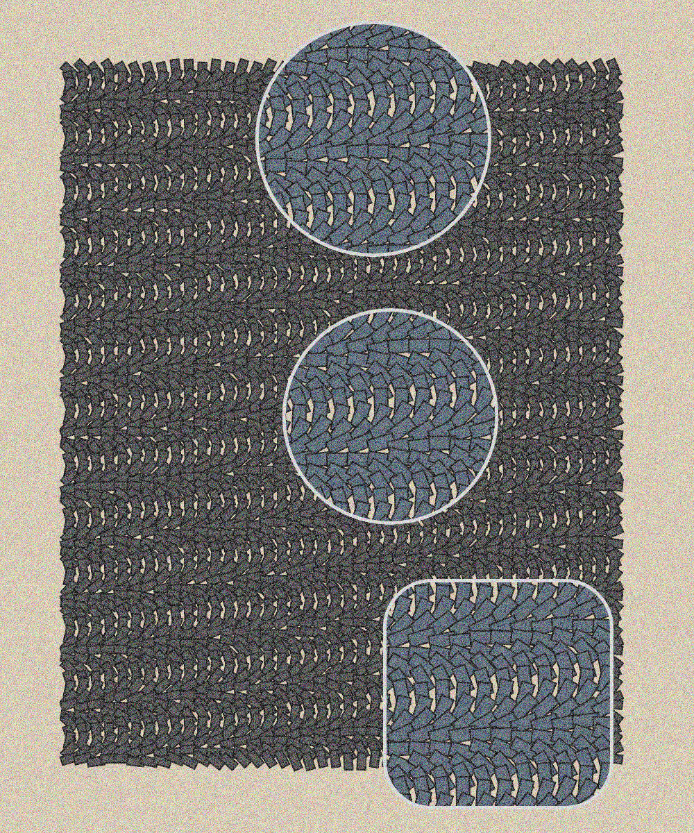 Plexus #14