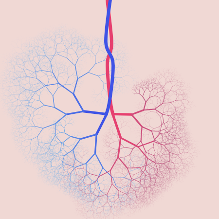 capillary trees #11