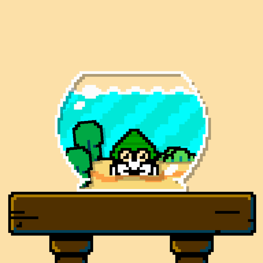 hermit crab #212