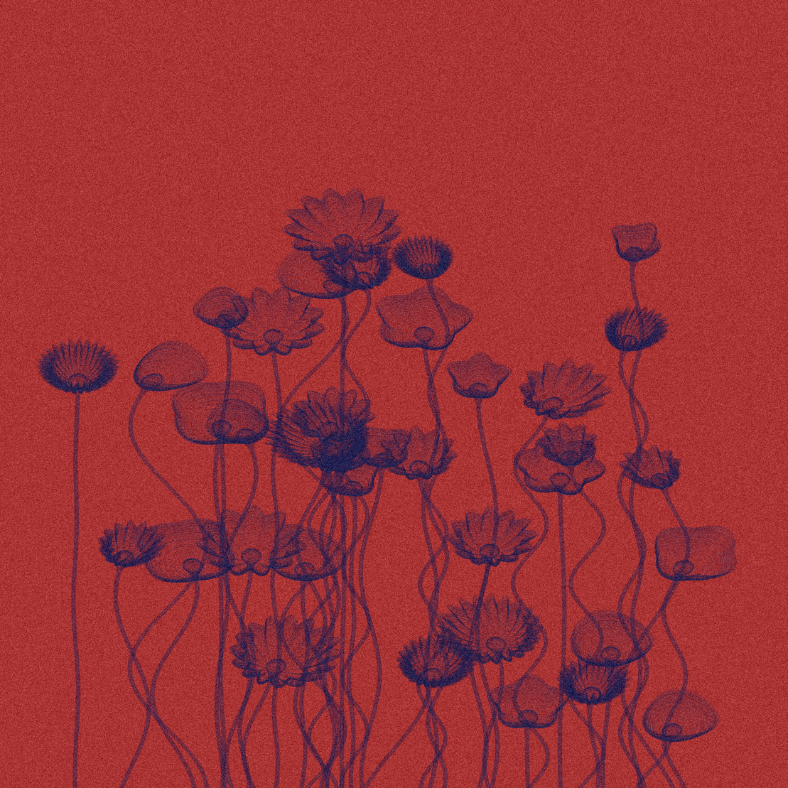 Code Flowers #62
