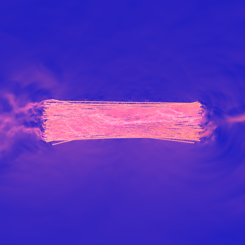 xxf #11