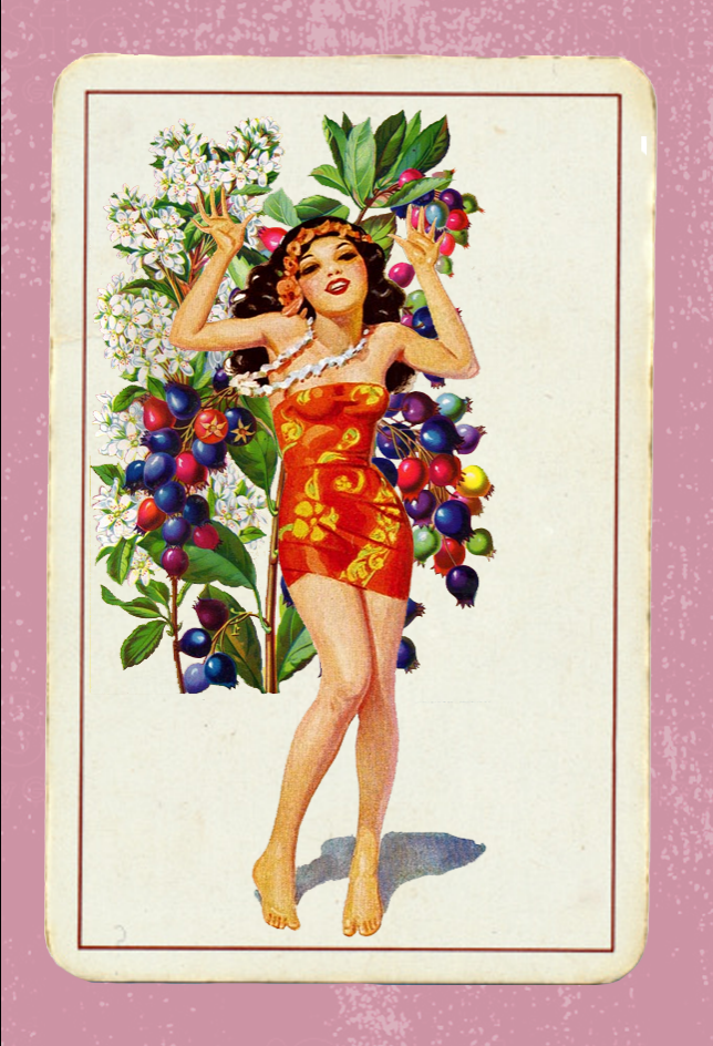 Paper Pinups 