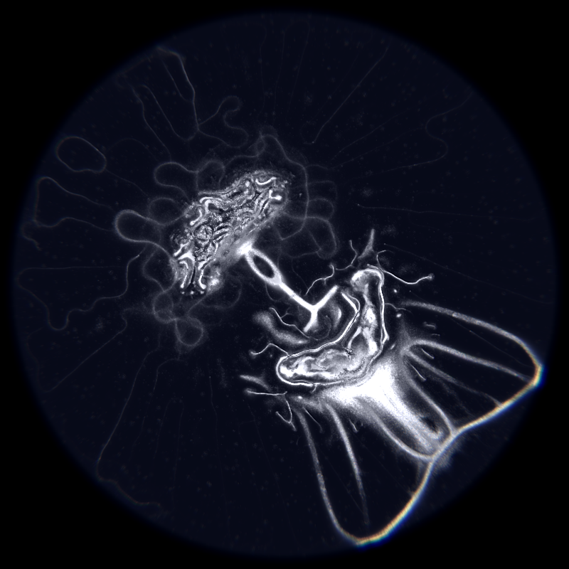 Ethereal Microcosm #214