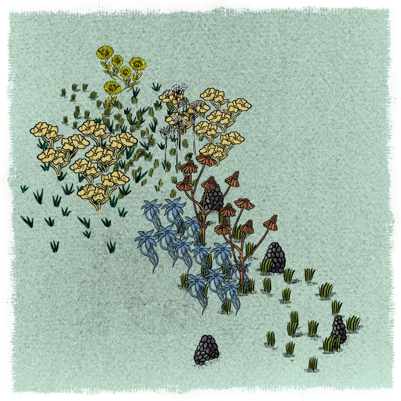 Gardens  #162