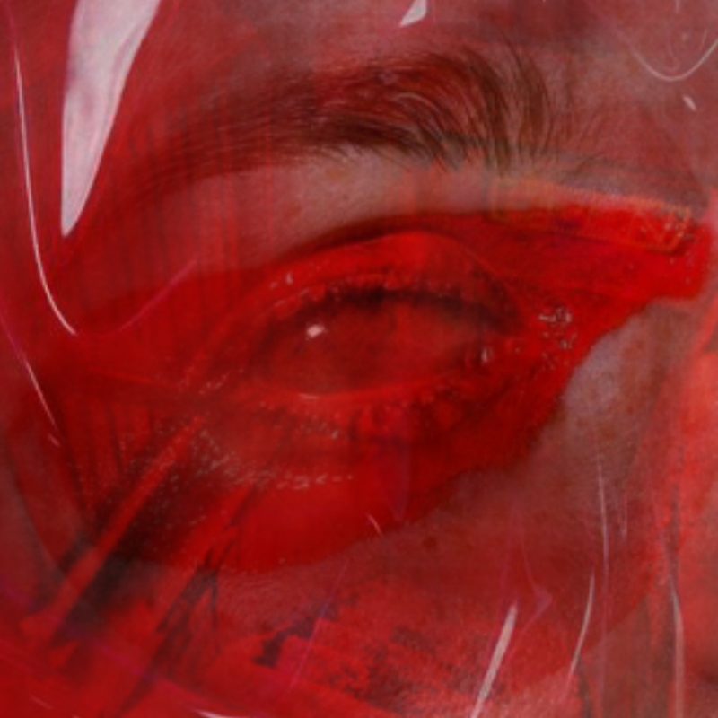 RED #29