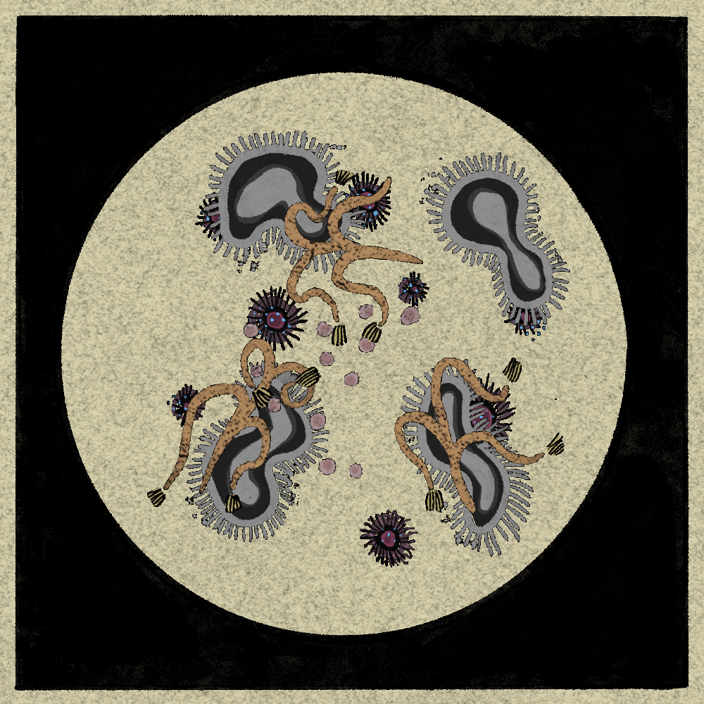 Microbes #161