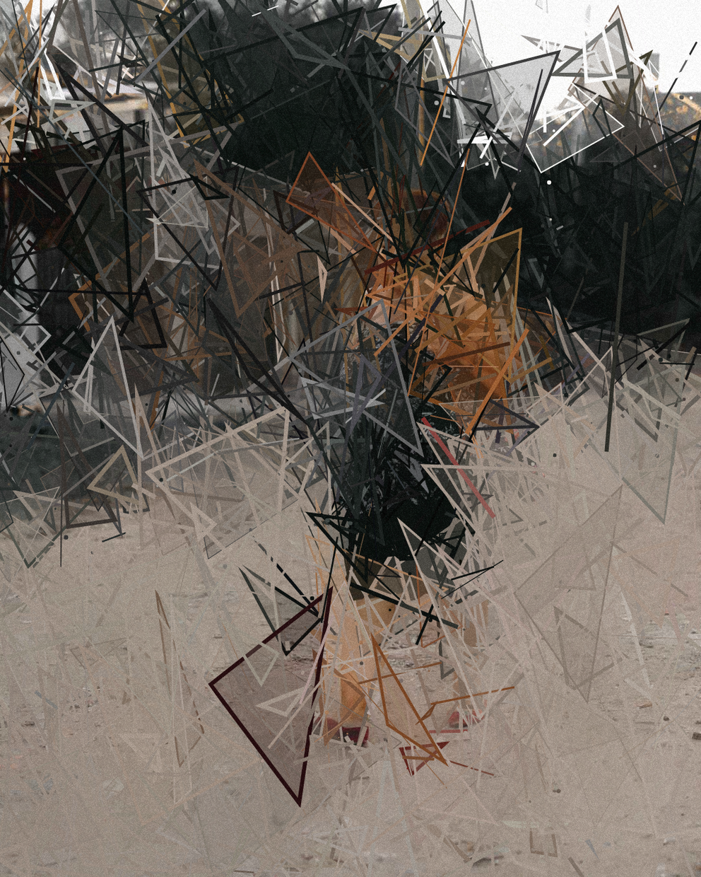 1888 - Fragmented #2