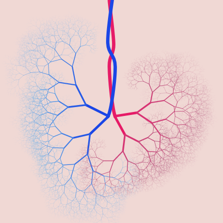 capillary trees #26