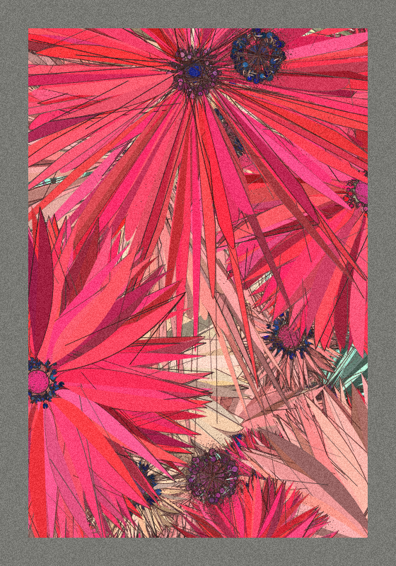 Love & Wild #53