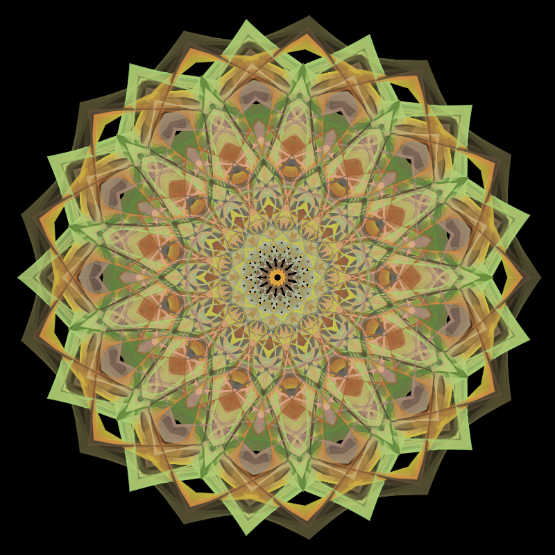 Morphing Mandala - #fxhashturnsone charity #57