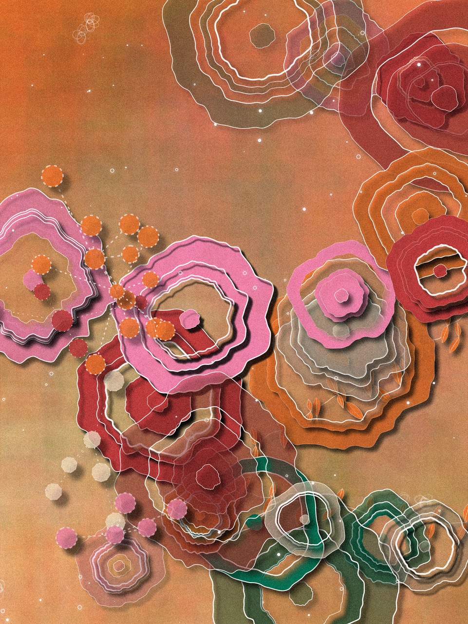 Coral #41