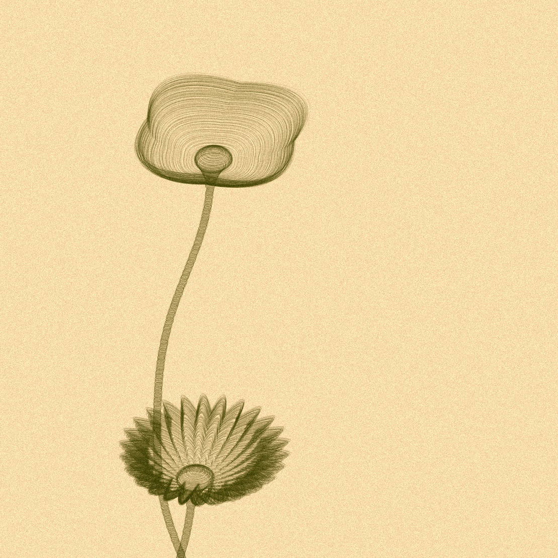 Code Flowers #45