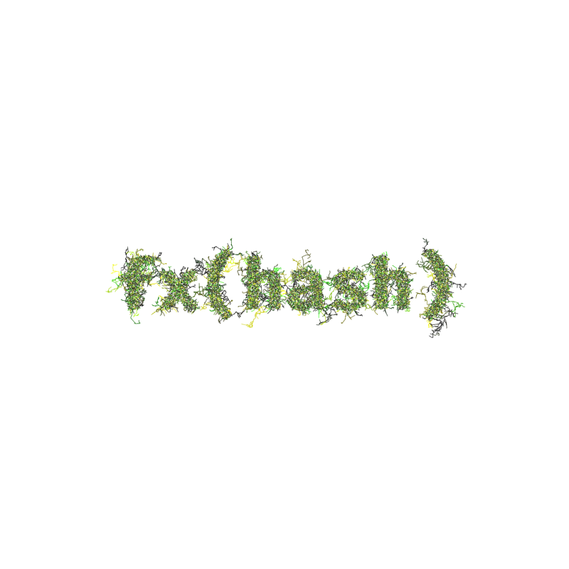 FXHASH Logo with Features #222