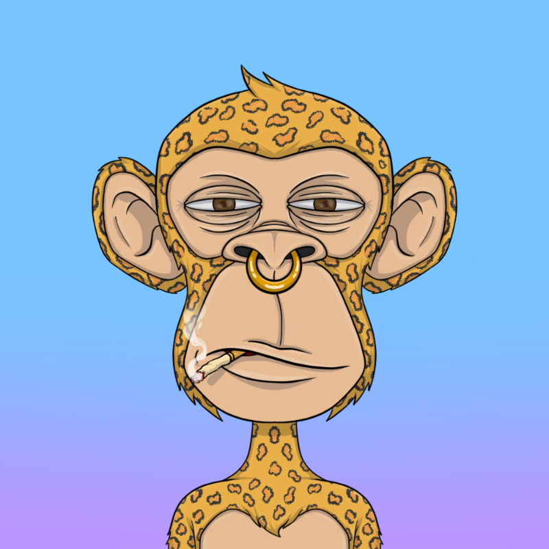 chimpantez #589