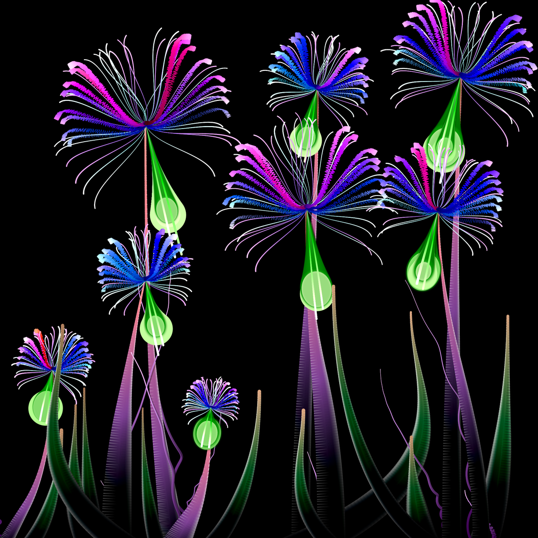 Milena’s Flowers #1