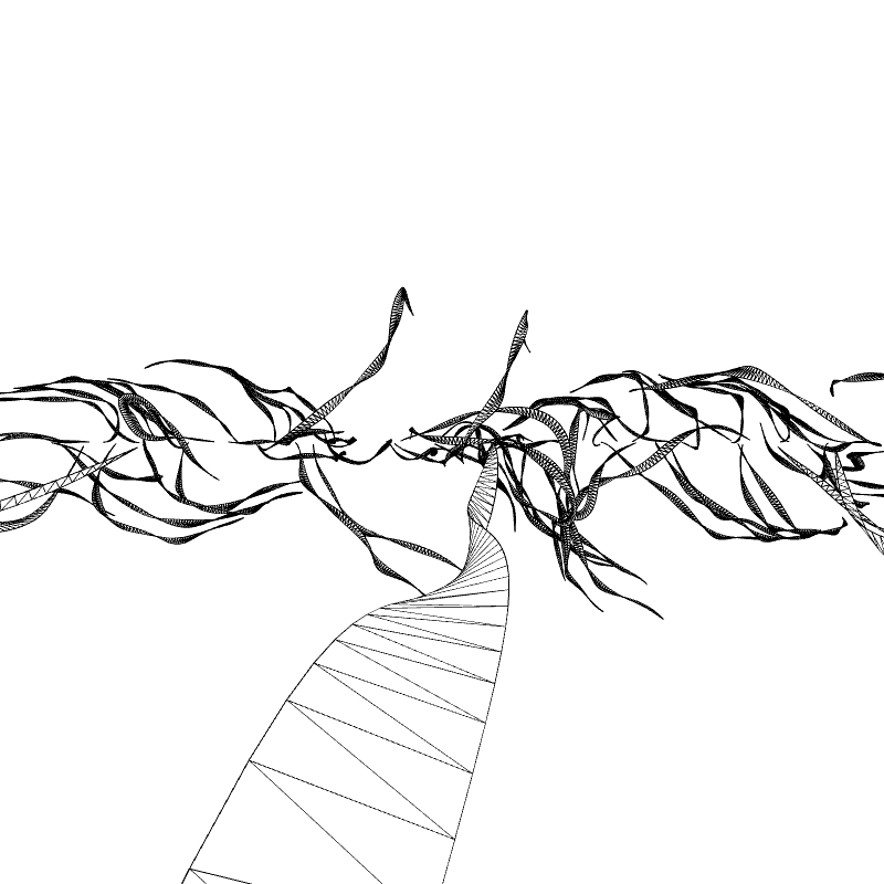 Paths of life #22