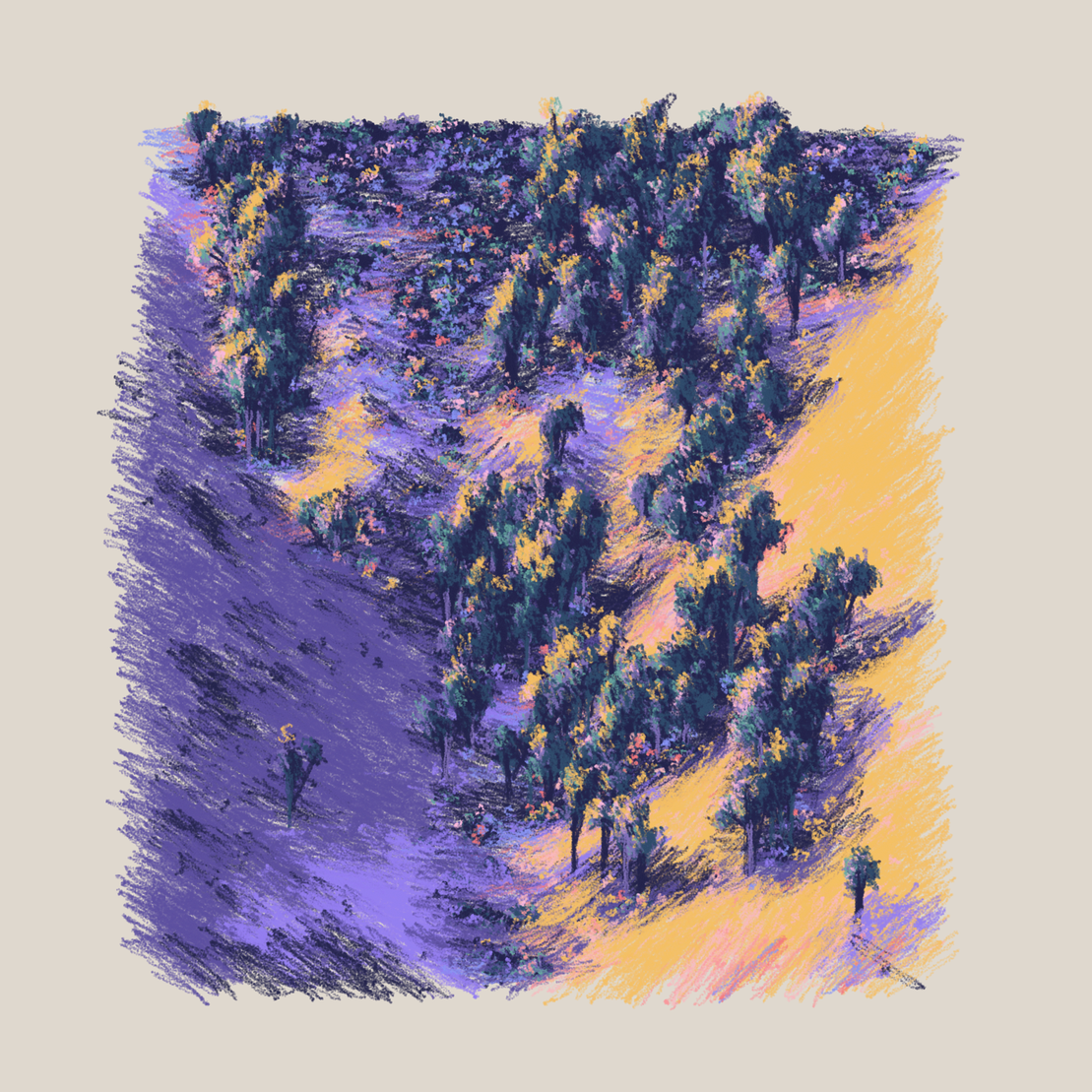Eucalyptus and Sagebrush #86