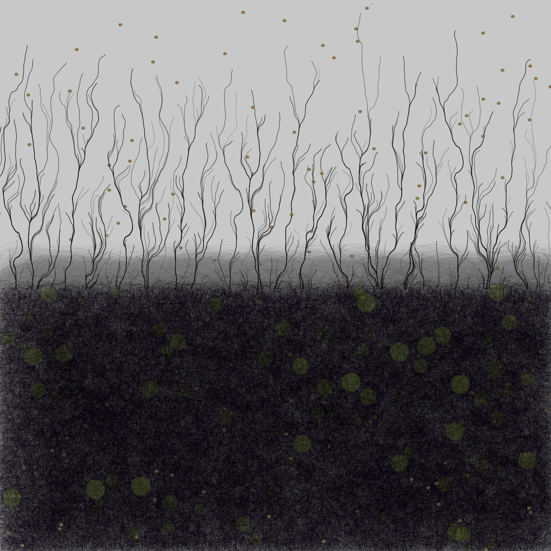 branches #2
